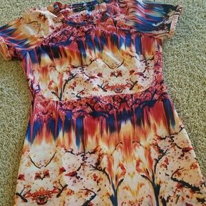 Zara Inspired Sexy Dress